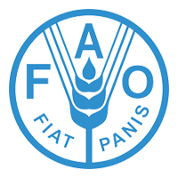 FAO Job Vacancy , 26 APRIL 2025
