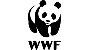 WWF Job Vacancy , 26 APRIL 2025