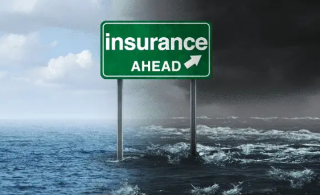 Business Insurance Basics: Protecting Your Company from Risk