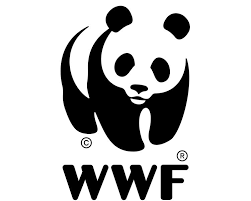 Call for Consultancy at WWF May 2025